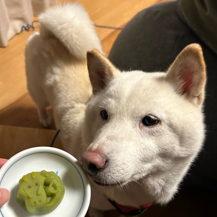 59f3e2ea 8a5c 4cf2 a485 c117e735a5cd 1704358378132