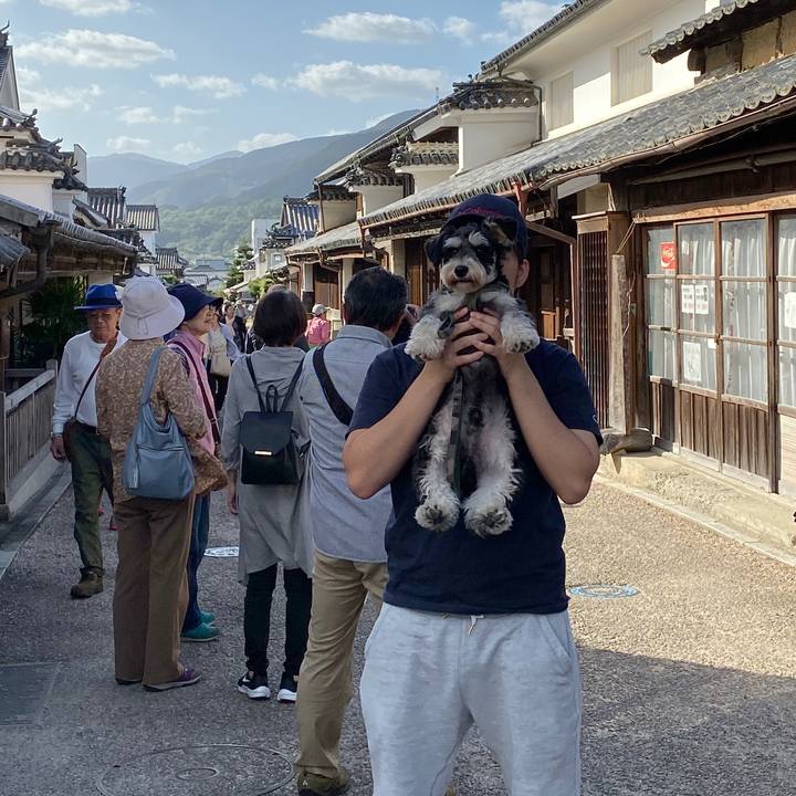 59f43956 fd47 45f0 afd6 a26bc1ba8b4f 1570961160092