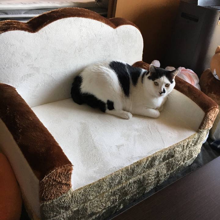 59f4590f 4247 4edf ba41 df128b66e263 1513840870263