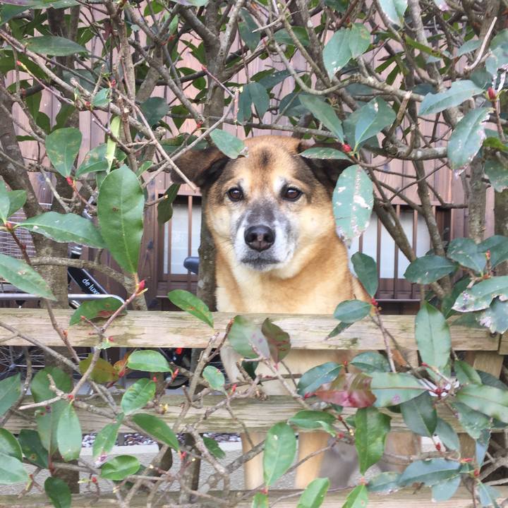 59f46a76 ee8a 4239 bf2e 2315ba9ad087 1546267228997