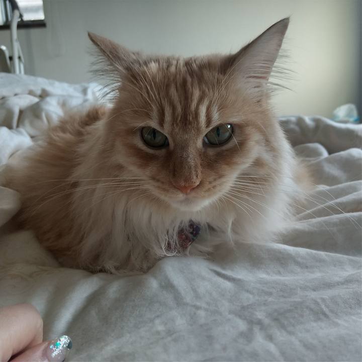 59f48ba3 5c43 4230 ae0d 666cb6977a9f 1652148876281