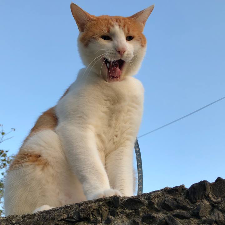 59f49f33 f8ee 4761 b3ec 3400afc91f96 1539001483919