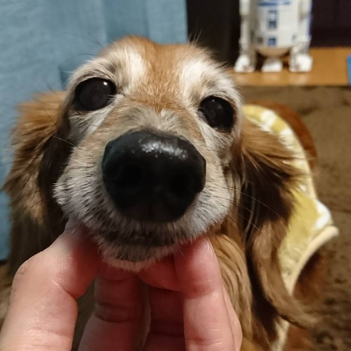 59f4a3d6 fdac 4969 b81c 66d80699a6a7 1514285197599