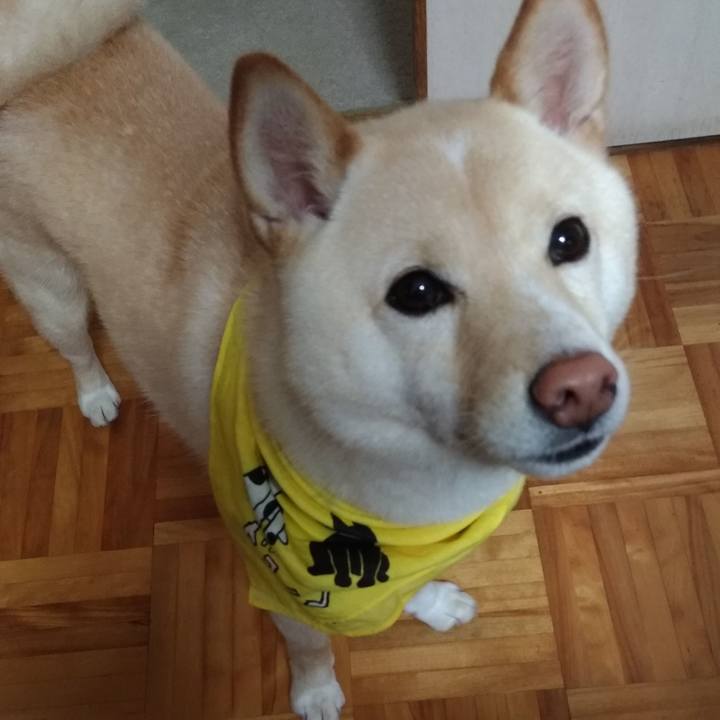 59f4d79d 01f9 41c1 8374 4f74ef0af286 1560464608699