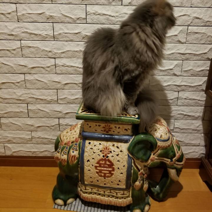 59f5555f ab08 4752 b038 6de5ec7a7bd9 1533903914101