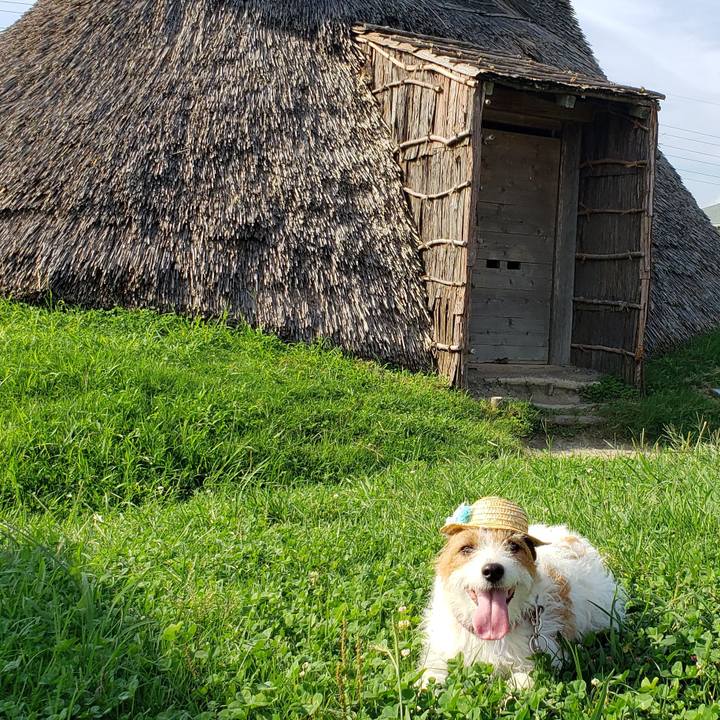 59f5bf85 e5e7 425b b3a0 5057f0b4475d 1630021493942