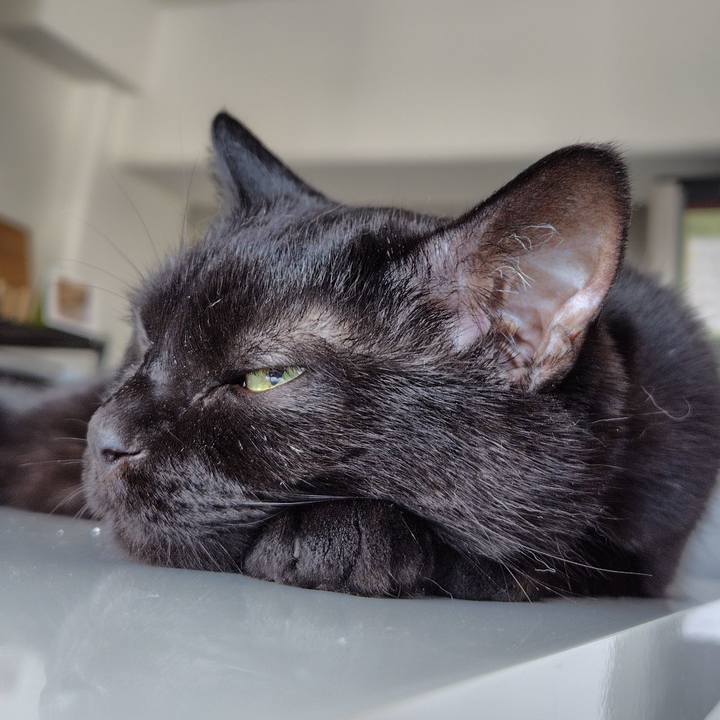 59f5fdae 632f 4de6 aba0 50ca26437ca6 1754173967625