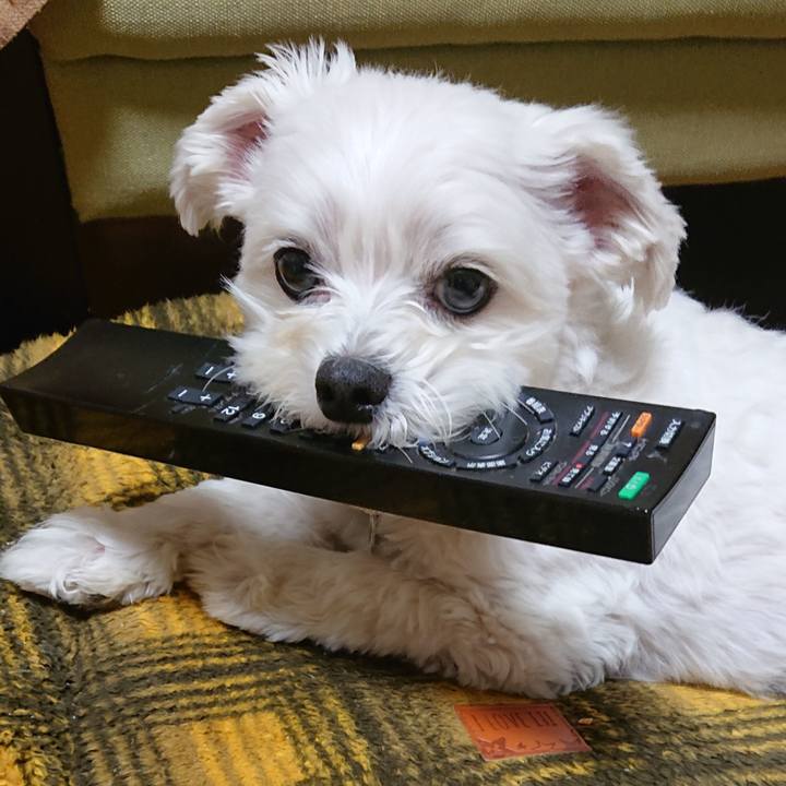 59f6053f 0742 4866 9061 1edea5fadf9e 1547638552172