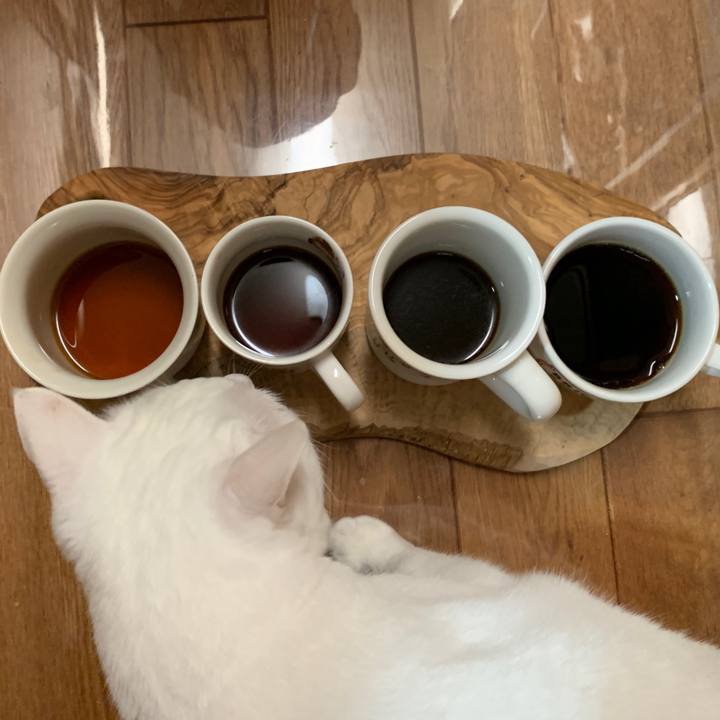 59f62c18 12d7 4365 bc3b e47fd29fe8f5 1654384923715