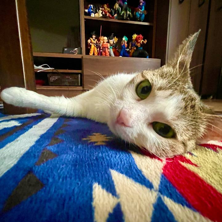 59f63cbd fc38 484d bb0e 7d837885204e 1627371228590