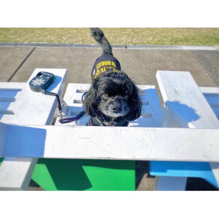 59f63cd3 051e 4d5a 8fc5 80f5af6eb3f7 1679275963702