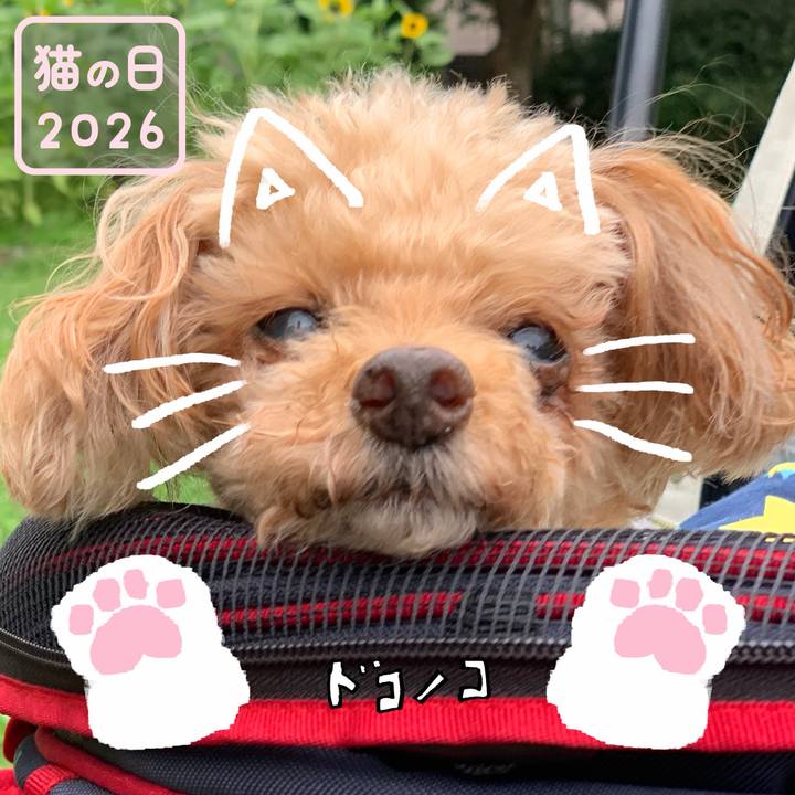 59f66358 9bf3 4f5f b678 8acbc5d0b03f 1771723479080