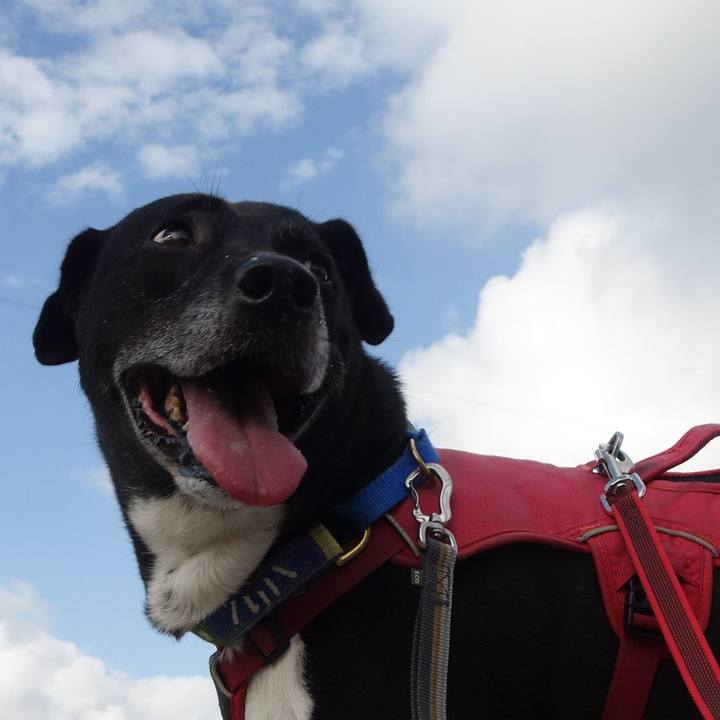 59f68d5a d957 4d15 b5e3 4ea825515035 1689984164663