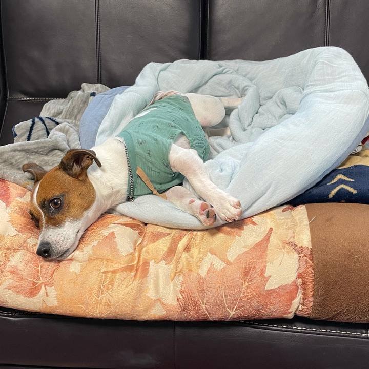 59f6935b 7f77 4176 8d40 7f37ebd01ef9 1633053446938