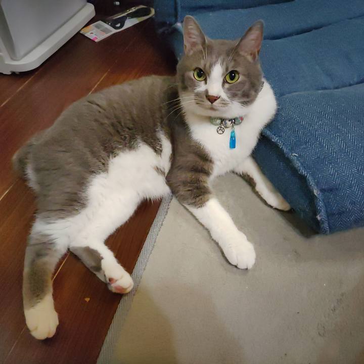 59f72fff 237b 4bb4 a385 c06b3013b5e7 1688477351504