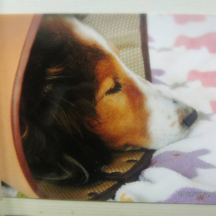 59f73676 2c77 4fc3 aa45 1d5f58e84eda 1521642687756