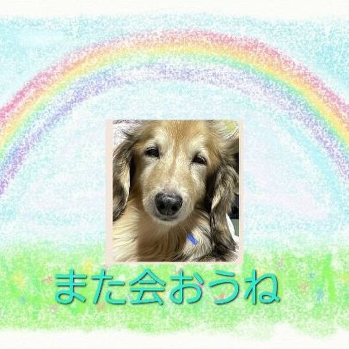 59f7514e 4e9d 4025 8452 02f0445bff96 1670734398034