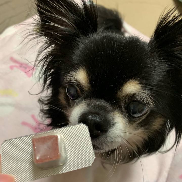 59f7c870 d452 4621 94ea 7c0ec55fbbec 1561900954305