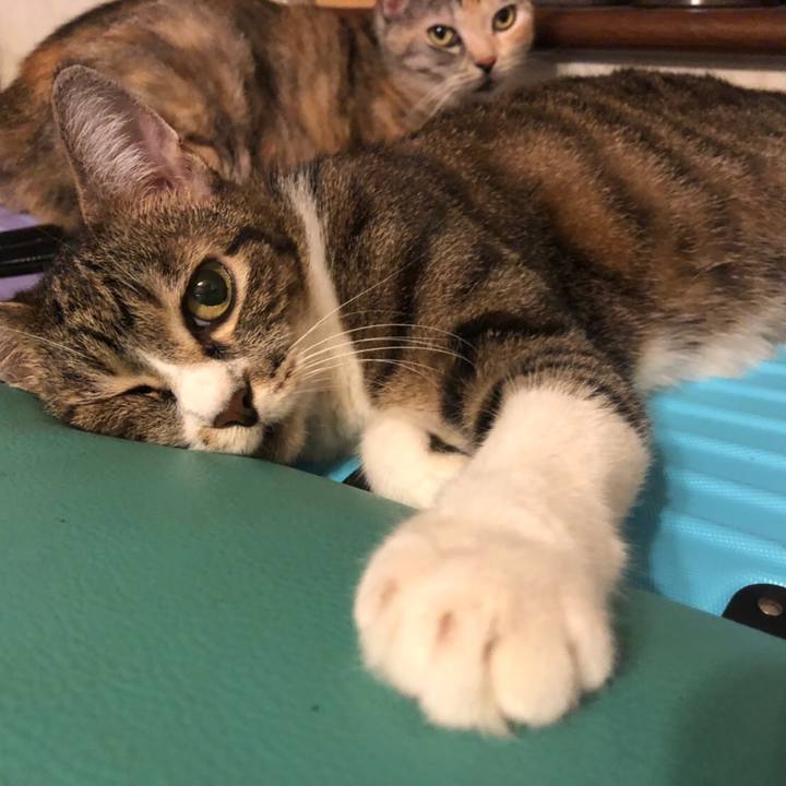 59f7ce25 80af 43e9 9f87 ac0b294501f8 1568464592741