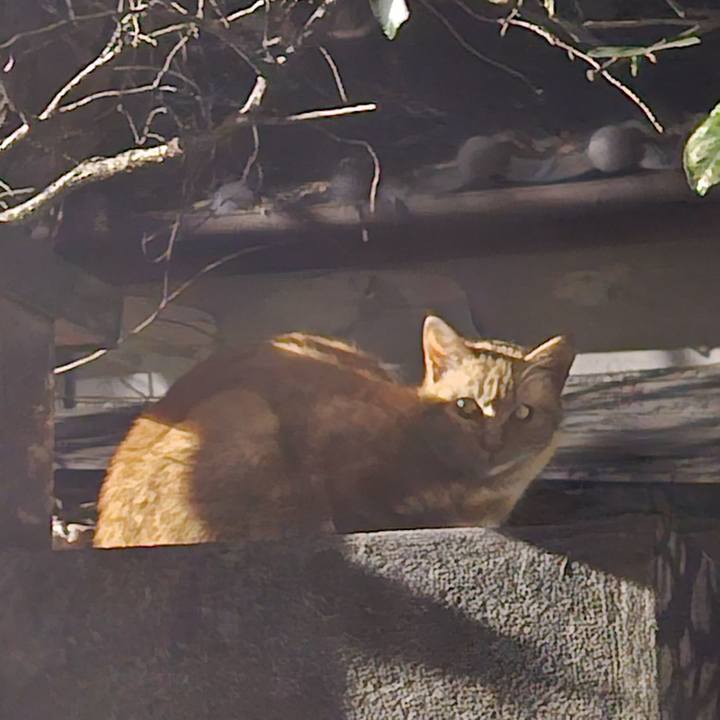 59f7ce6b 7fe3 4c0a adc4 0ef500f2eb7e 1742029668418