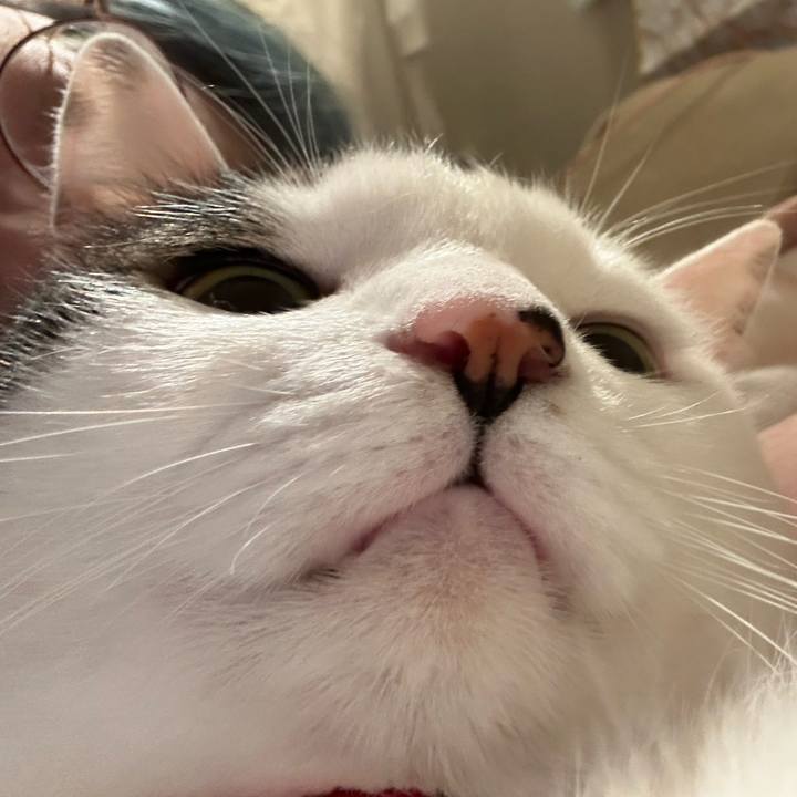 59f7f973 7e32 48b2 bf94 aba396a23111 1761667088992