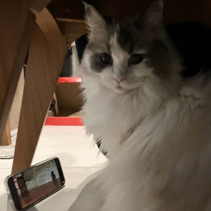 59f80454 6fcf 40f8 a058 5bf271308dc2 1775828464087