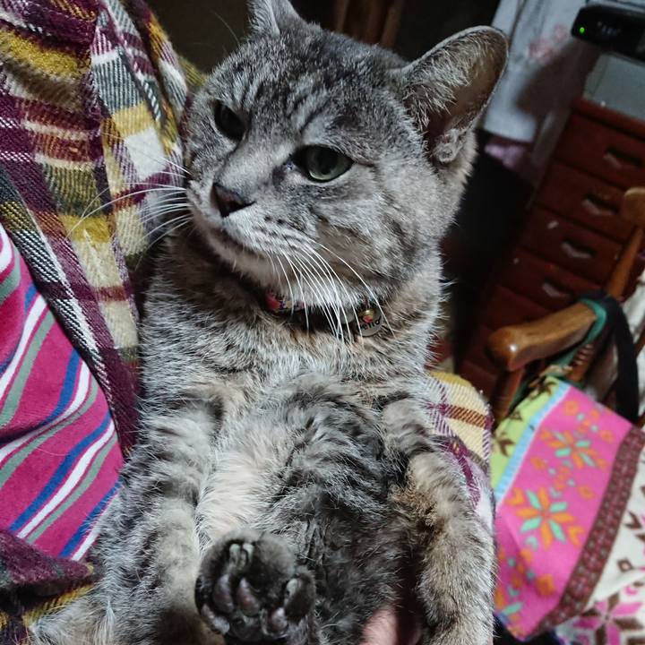 59f80b62 ac13 4825 8877 35efef1c828d 1578088505983