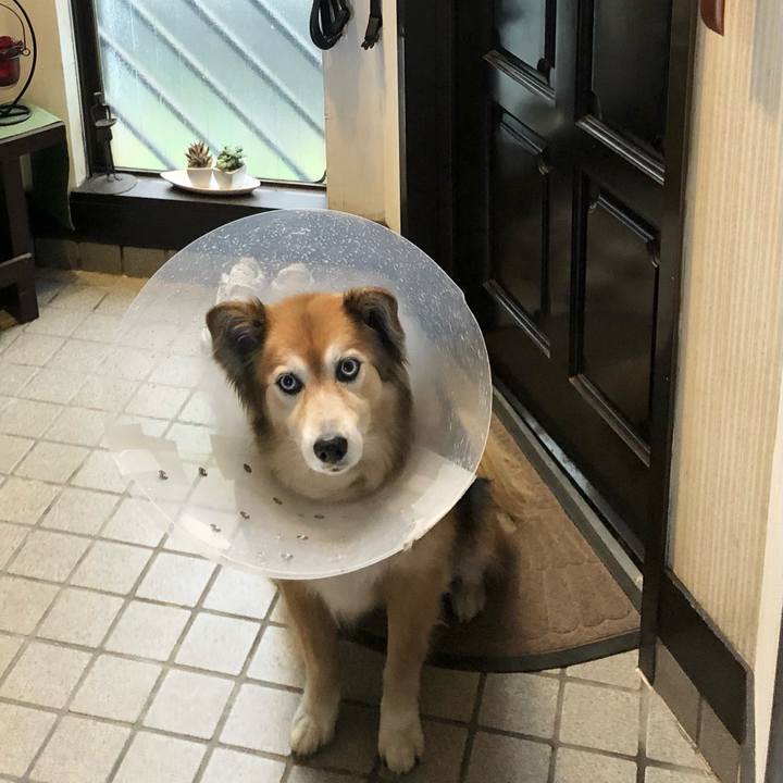 59f80eb9 0f70 4a5e 861e 225e7f0818fb 1654498477276