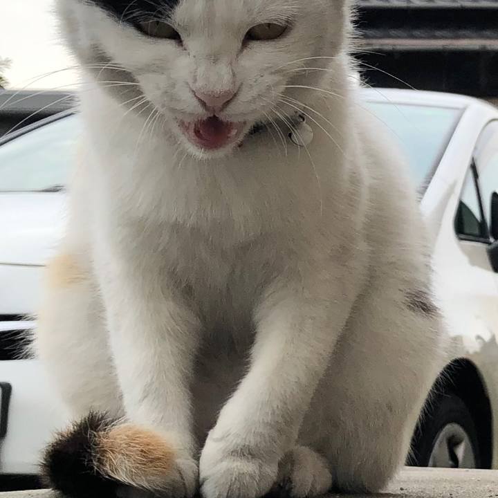 59f81522 3080 44dd 8096 b219cd04bd2a 1651612311905