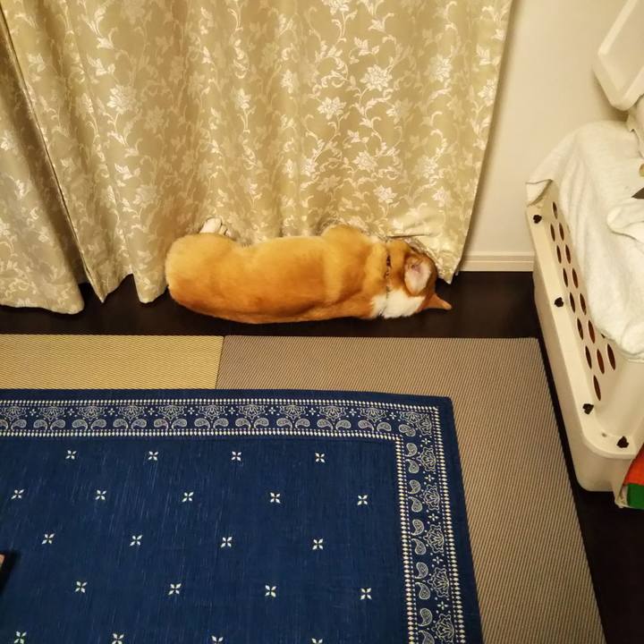 59f828da b832 466f a38f 8573e0af1086 1573896692220