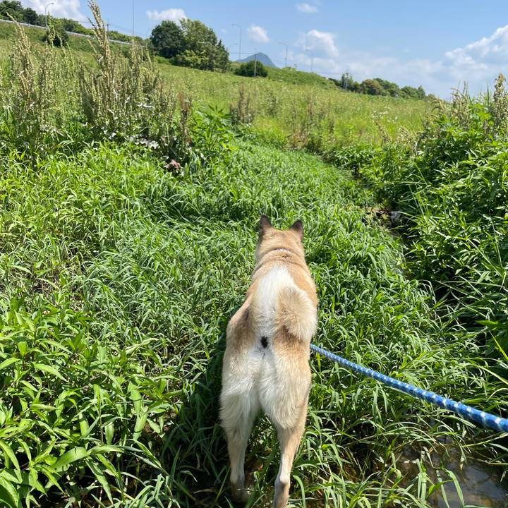 59f8351c 4b1f 47b8 a007 637cff11dfdf 1655039932728