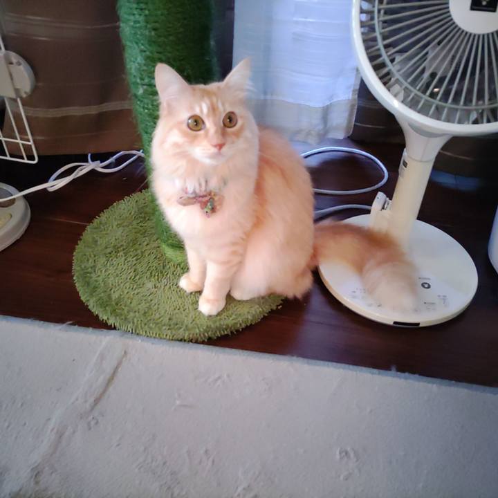 59f8413e 7d80 4365 99bb 16a664bb1f75 1696287223193