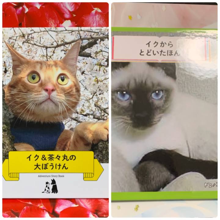 59f86452 d3b9 415c a901 9e74eae9b87c 1625048559709