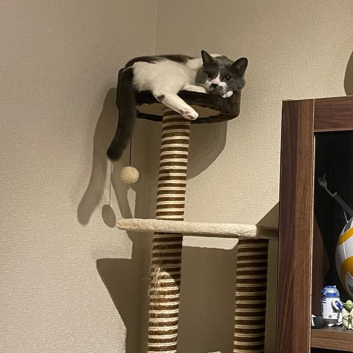 59f86d62 021b 412c a144 233eb7c61eab 1671721795435