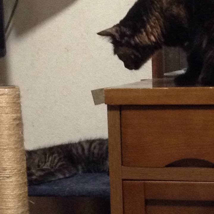 59f88cea ba28 4836 b3eb a324020177c5 1528110833667