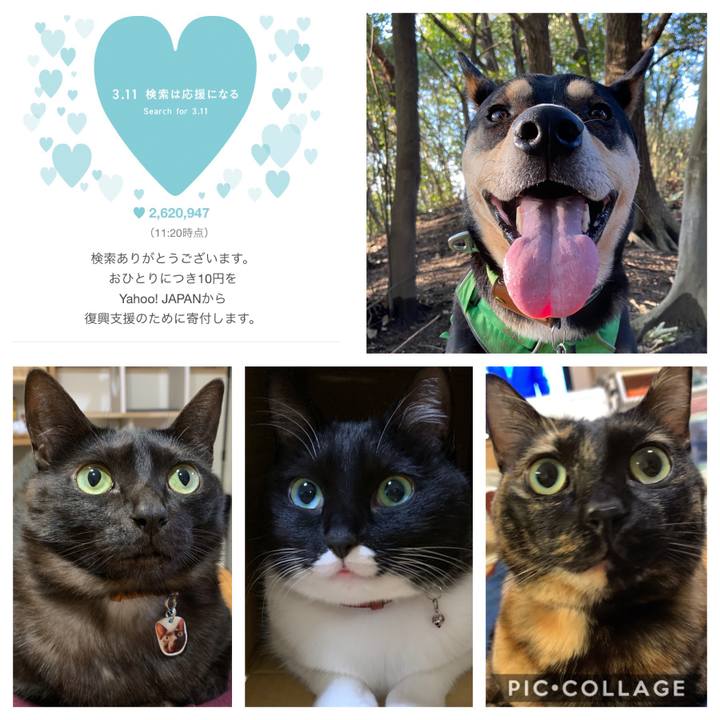 59f8a7c5 6116 402c 8f5f cf8d18d4b0bf 1583908024953