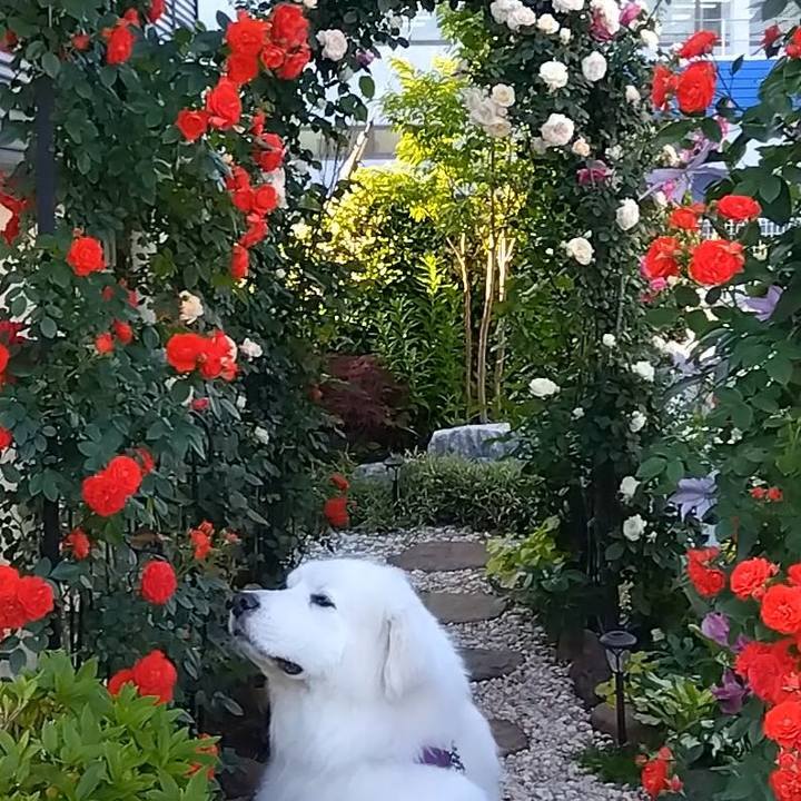 59f8b883 8d89 4797 a6a5 e67203023290 1683677809547