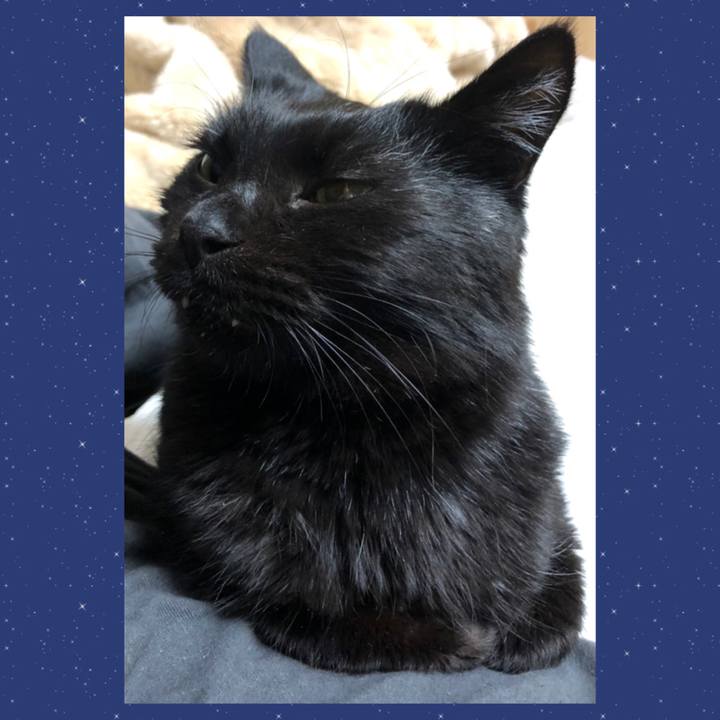 59f8ddbf bea3 4b0d 9094 4a1c195384a0 1609668462328