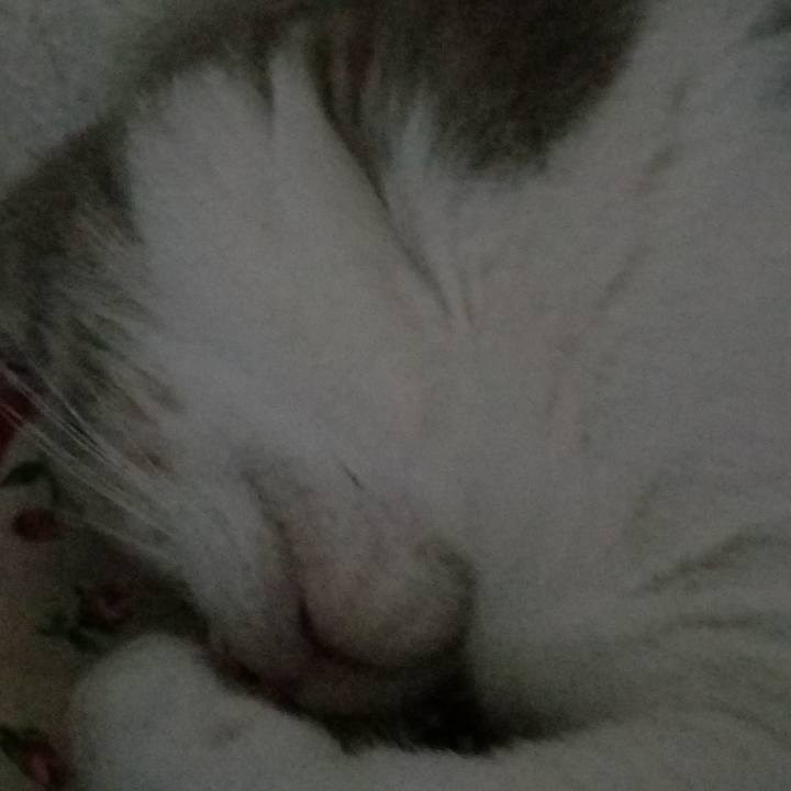 59f8dff4 cfb8 4bad ade5 63f5ca039055 1673650059068