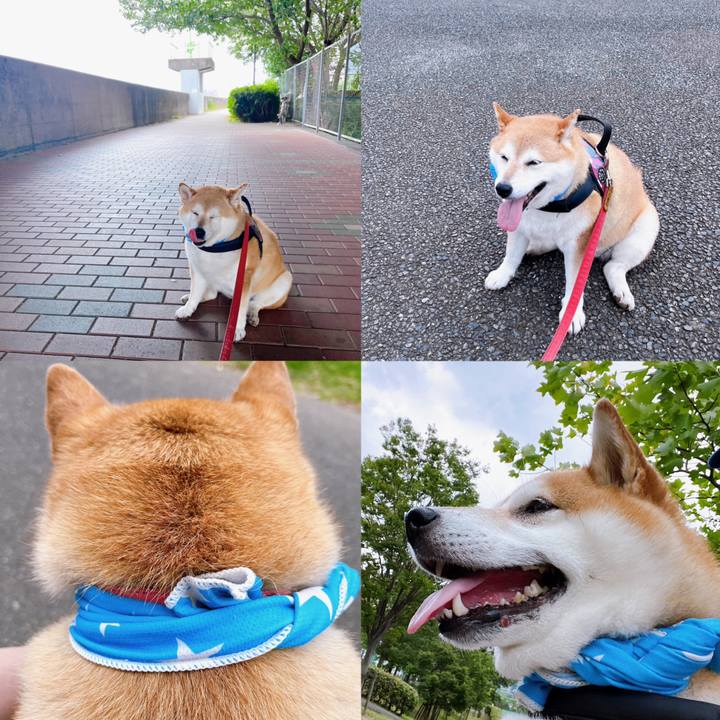 59f8f337 35d3 4836 9fde ce58a338dc76 1689909579956