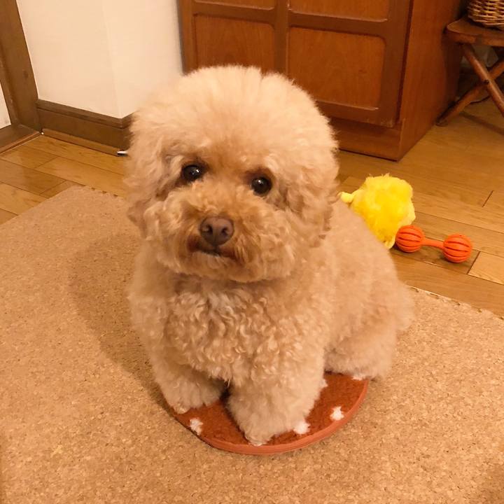 59f92a81 1224 4138 b4d6 9189ccf48e79 1508489200165