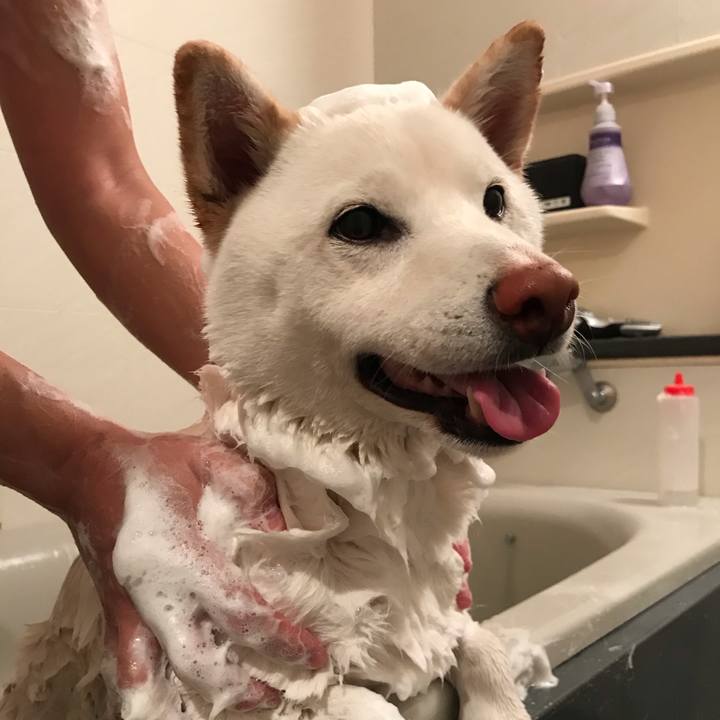 59f9376e a213 4769 a369 649fdc5e3f85 1549173092281