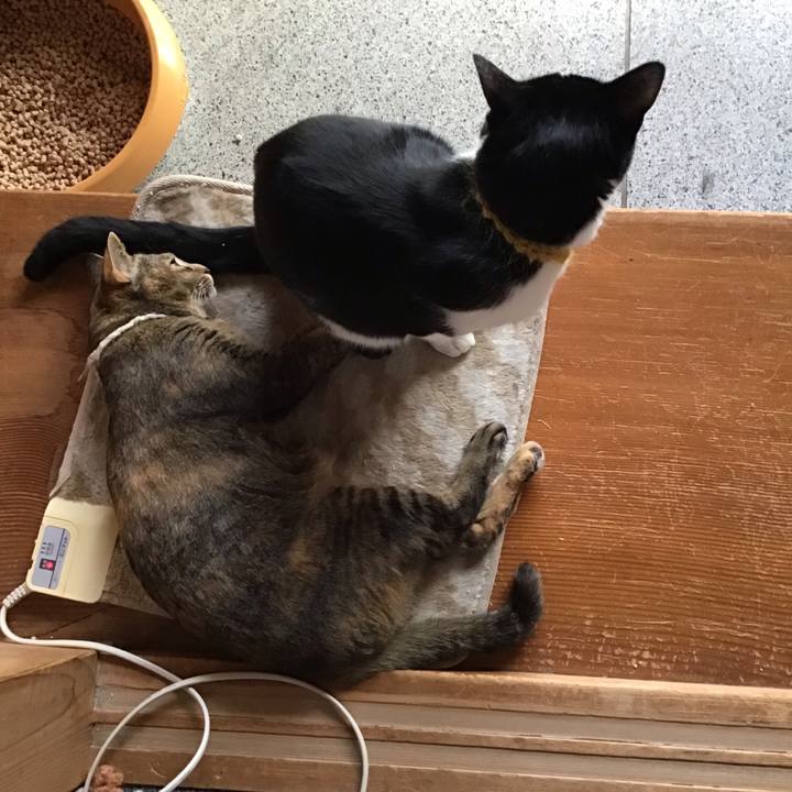 59f98c96 59be 46ac a80a e19f1a351bf5 1647769996996