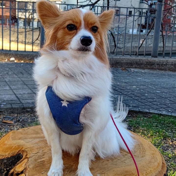 59f9f370 f20f 469a a90c 1473af9a9e39 1705221806919