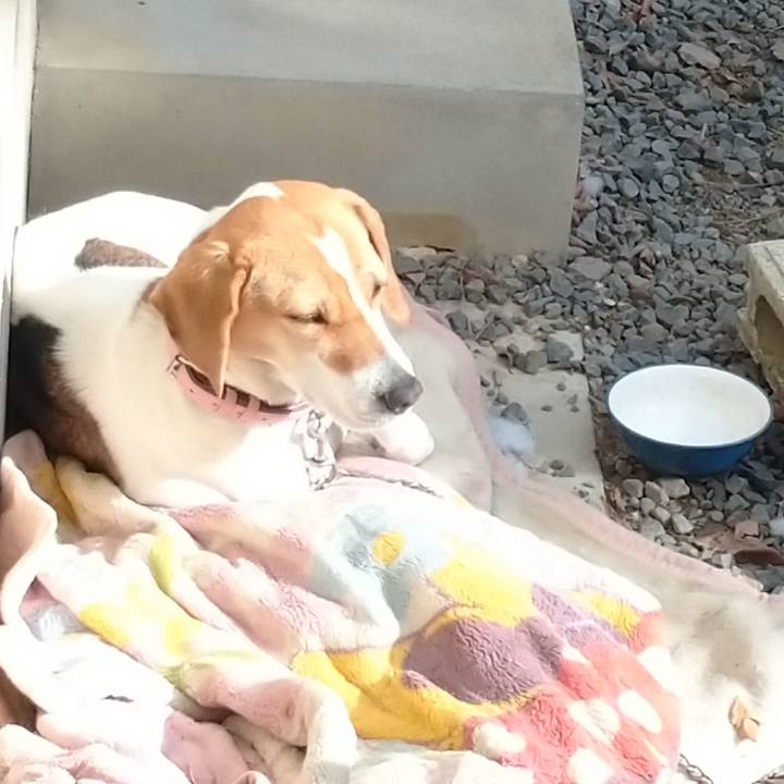 59fa104f a51c 4339 b4ca 887f54da5abd 1580435126708