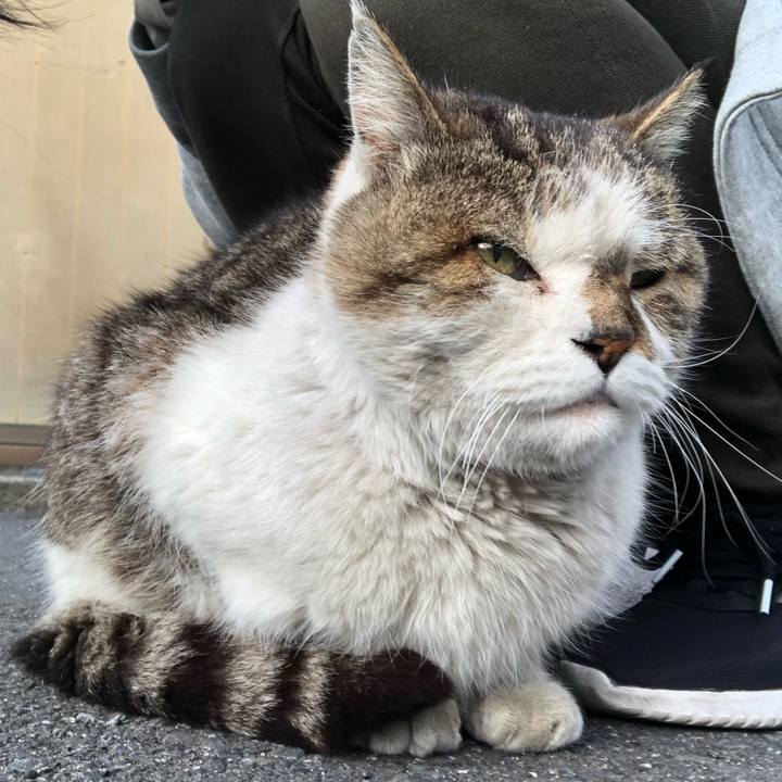 59fa44d0 0a6b 459c 83fc d8b824443847 1518438846662