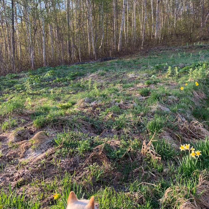 59fa7c9f 0c56 4bde 9974 5bc3e5150834 1556927349832