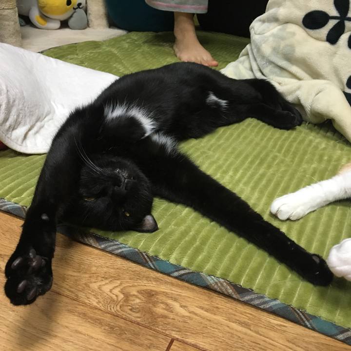 59faace4 90cb 4c85 a031 a19c09eb9830 1546254946709