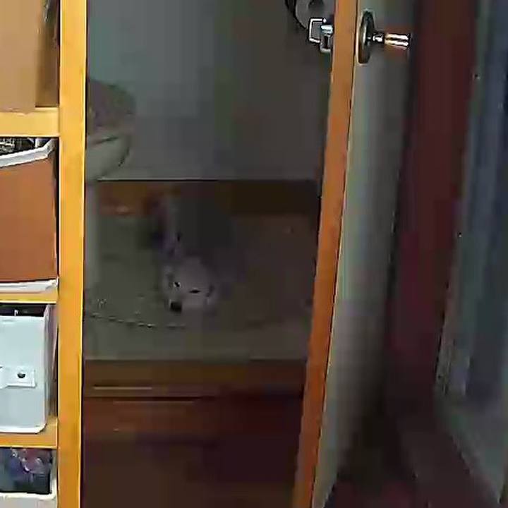 59fabb3d 26b1 4b57 aa18 1be59a36b704 1633407188437