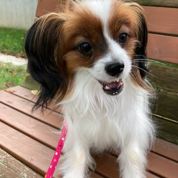 59fabd7c e233 4e4c a33e e310073b162c 1633572356722